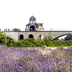 Les Avignon - La Laune