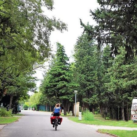 Les Avignon - La Laune Вильнёв-ле-Авиньон