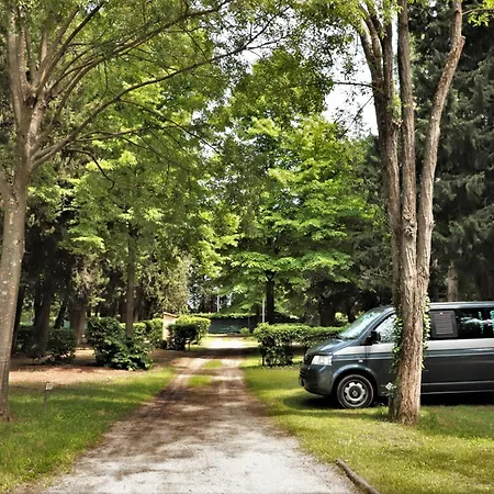 Les Avignon - La Laune