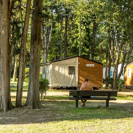 Les Avignon - La Laune Kemping 3*